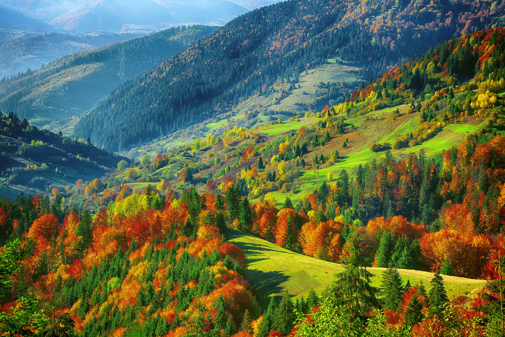 Land for Sale in the Natur Park Rhodopi