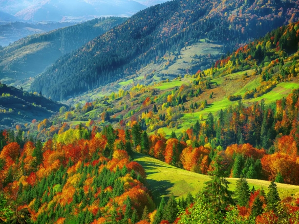 Land for Sale in the Natur Park Rhodopi