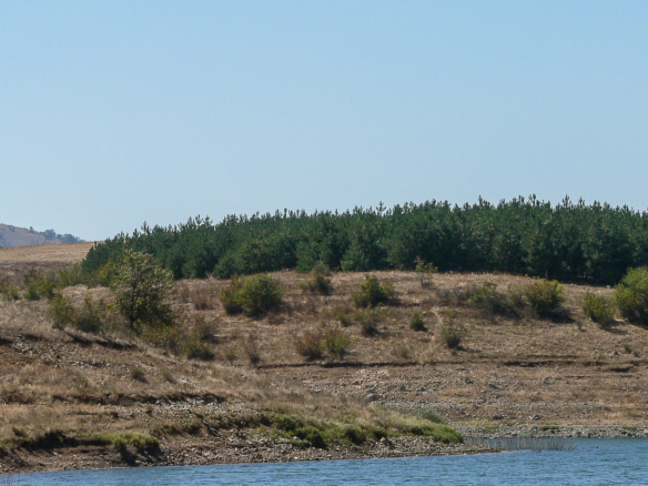 Best investment potential Land  For Sale at the Lake Malko Sharkovo